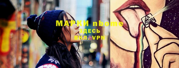 ECSTASY Новозыбков