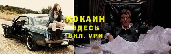 ECSTASY Новозыбков
