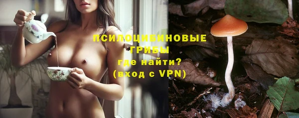 MDMA Няндома
