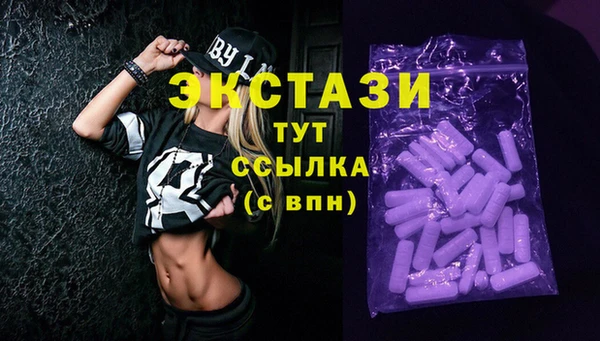ECSTASY Новозыбков