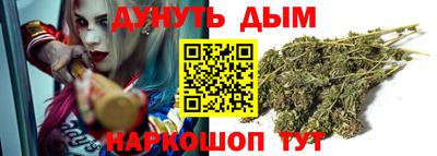 тгк Бийск