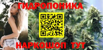 тгк Бийск