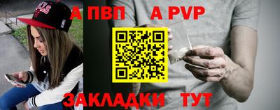 тгк Бийск