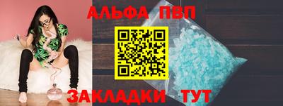 тгк Бийск