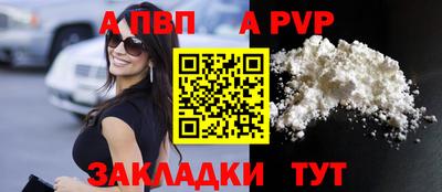 тгк Бийск