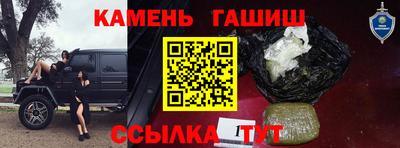 тгк Бийск
