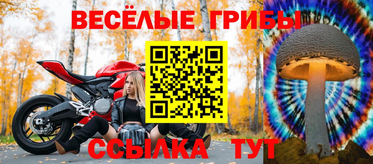 Каннабис  Югорск  Вход с VPN  Cocaine  Alpha-PVP СК   Меф МЯУ МЯУ   Гашиш  МДМА  LSD-25 