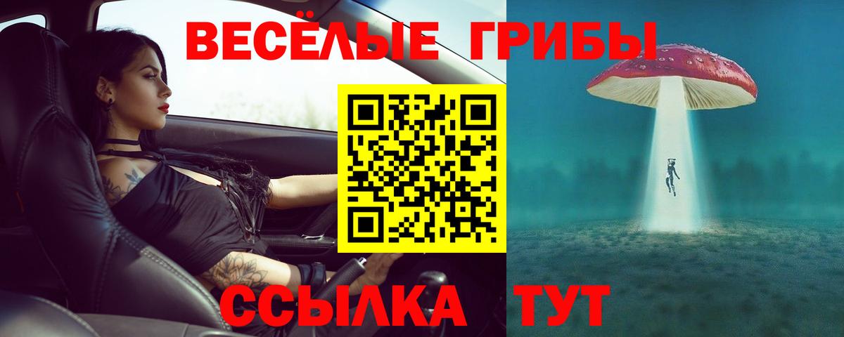 Югорск  Галлюциногенные грибы Magic Shrooms  Вход с VPN 
